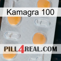 Kamagra 100 24